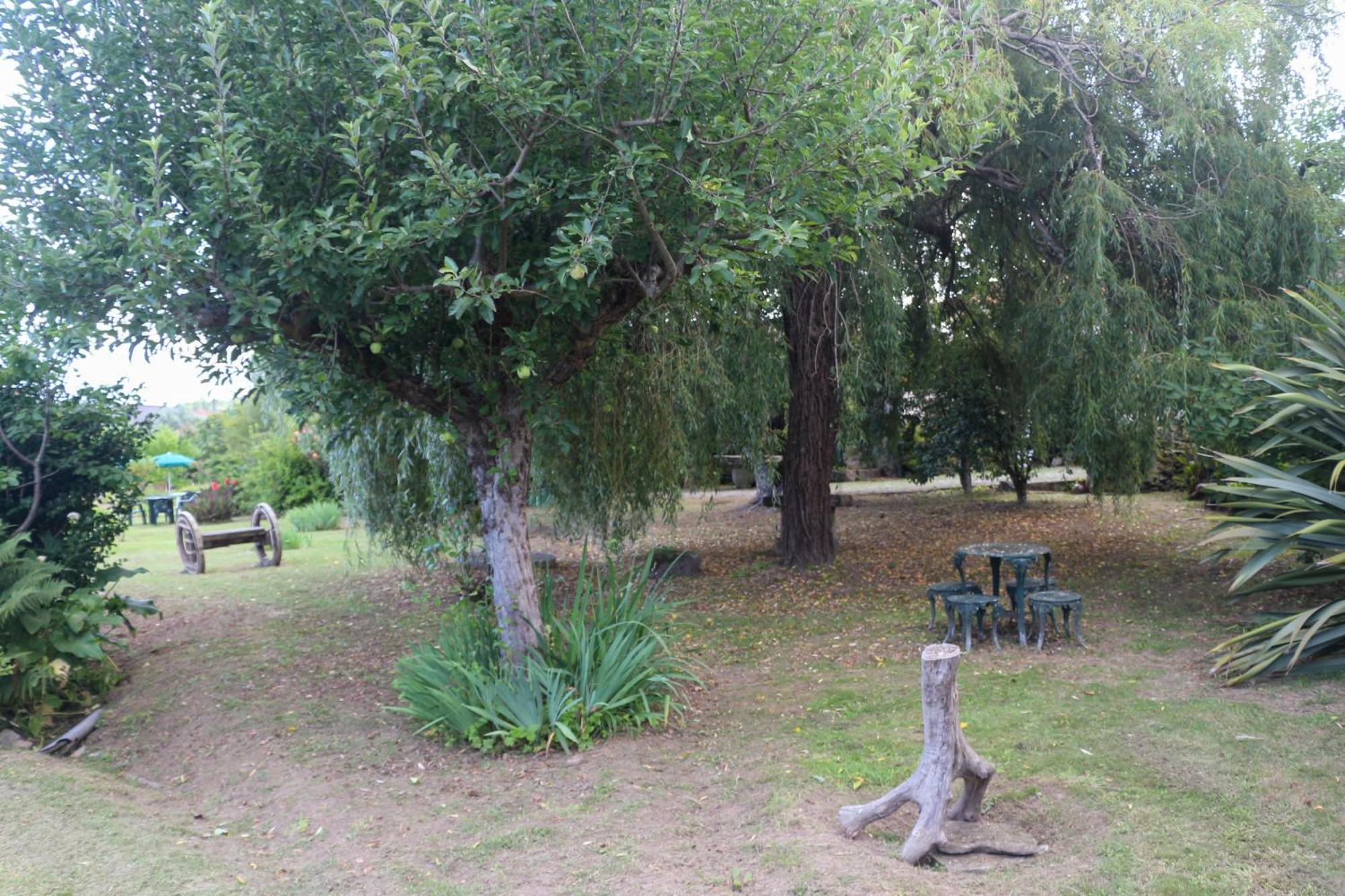 קסטרו דאירה Casa Campo Das Bizarras מראה חיצוני תמונה