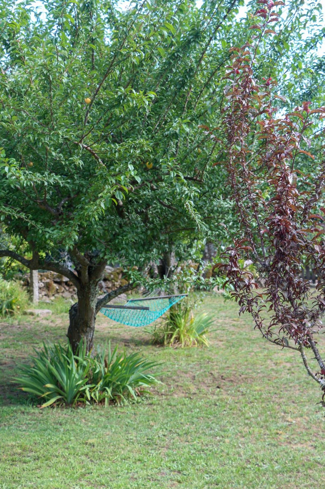 קסטרו דאירה Casa Campo Das Bizarras מראה חיצוני תמונה